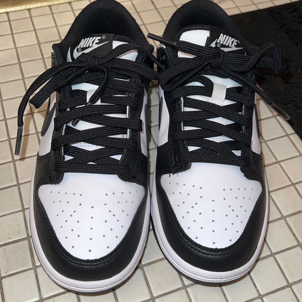Nike Dunks Retro Low Tops Women USED